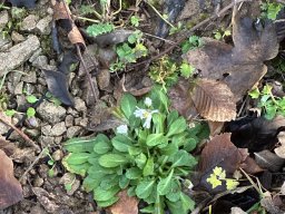 013-09-12-2025 IMG_3130